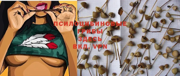 a pvp Саяногорск
