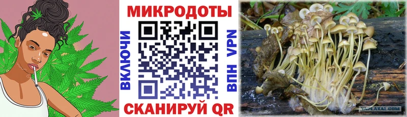 Галлюциногенные грибы Magic Shrooms  наркотики  Маркс 